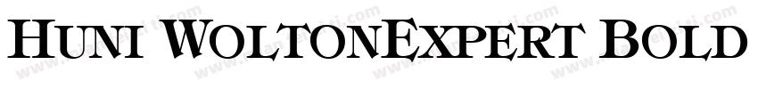 Huni WoltonExpert Bold Regular字体转换